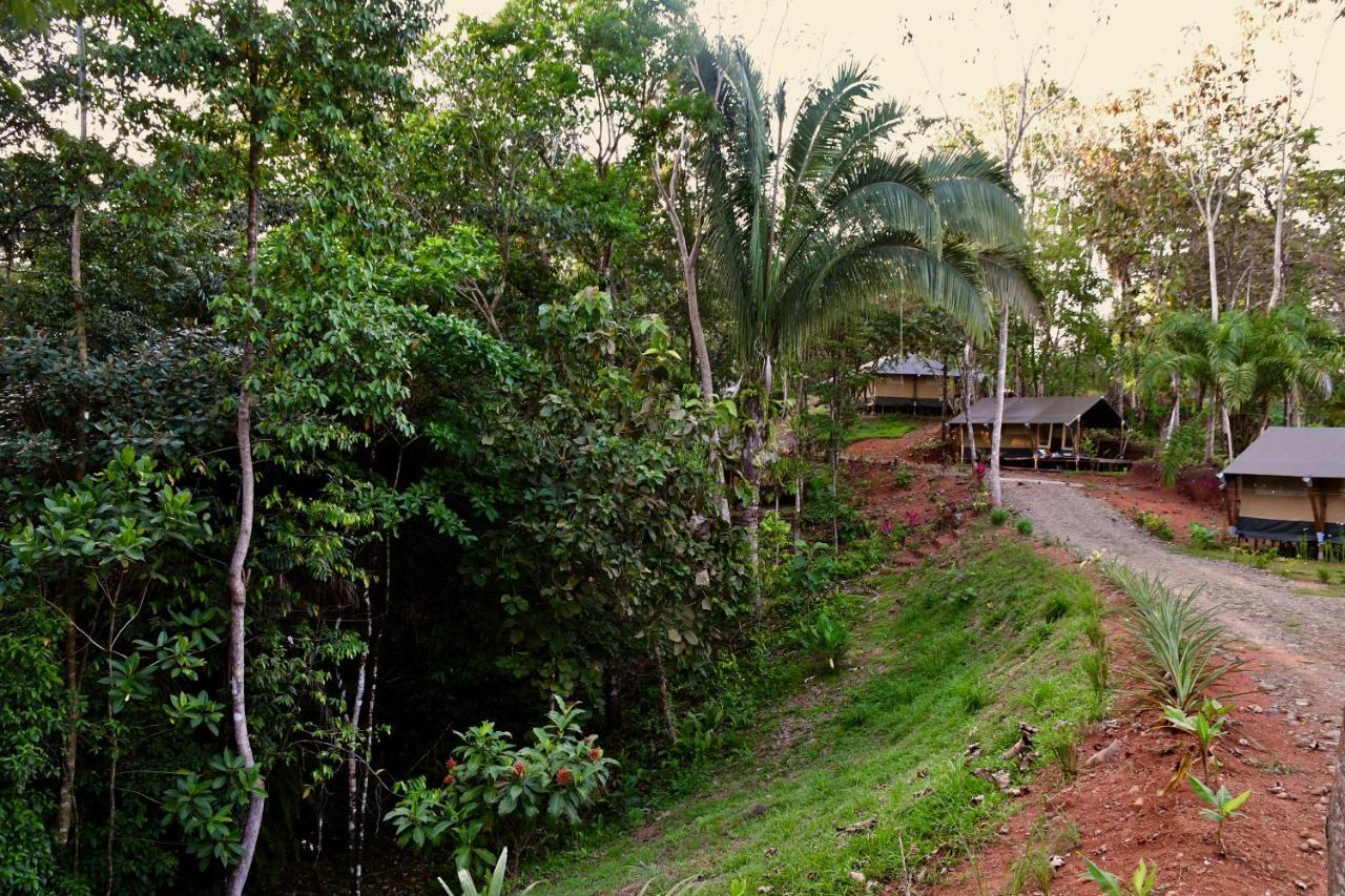 El Pulpo Safari Lodge Ojochal Esterno foto