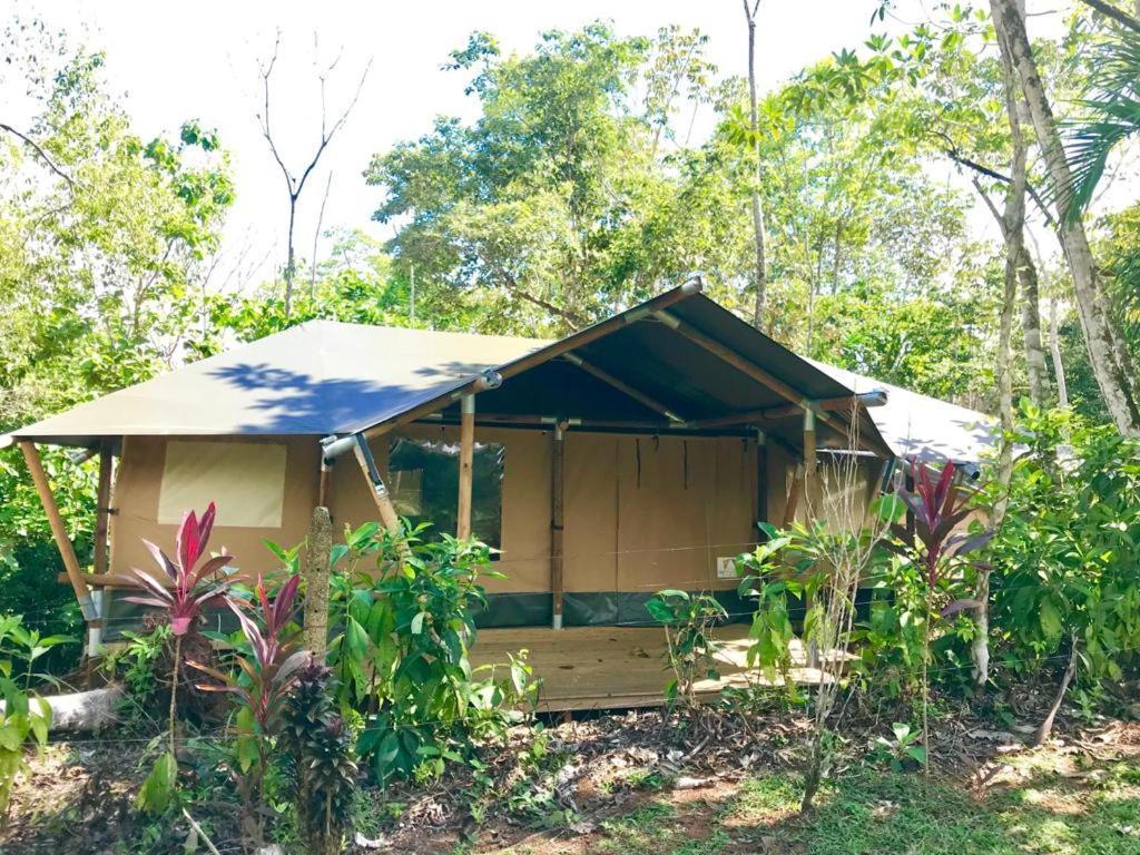 El Pulpo Safari Lodge Ojochal Esterno foto