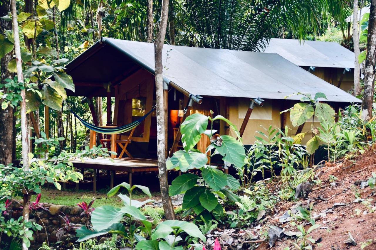El Pulpo Safari Lodge Ojochal Esterno foto