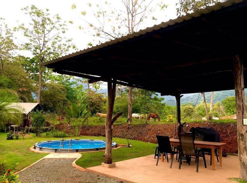 El Pulpo Safari Lodge Ojochal Esterno foto